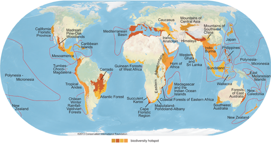 Mapa de Hotspots de Biodiversidad. Fuente: www.conservation.org