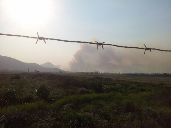 El incendio visto desde el camino El Trebal, camino a la cuesta Barriga, comuna de Padre Hurtado. Foto gentileza de Víctor Fernández.