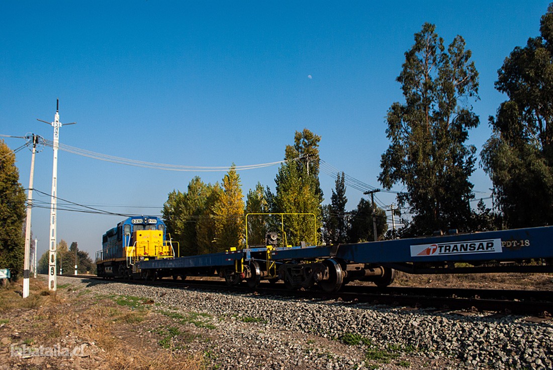 Actual tren de carga en ruta.