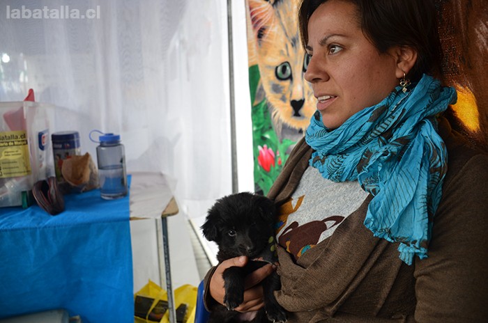 Debora Cubillos, junto con un perrito recientemente abandonado junto a la estación Plaza de Maipú del metro.