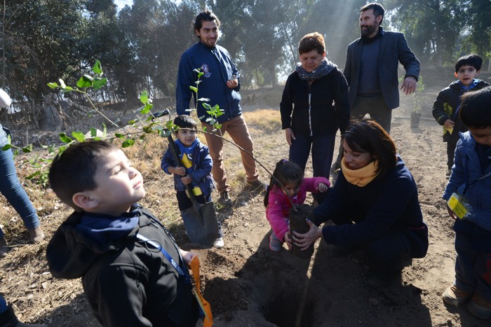 diadelarbol1