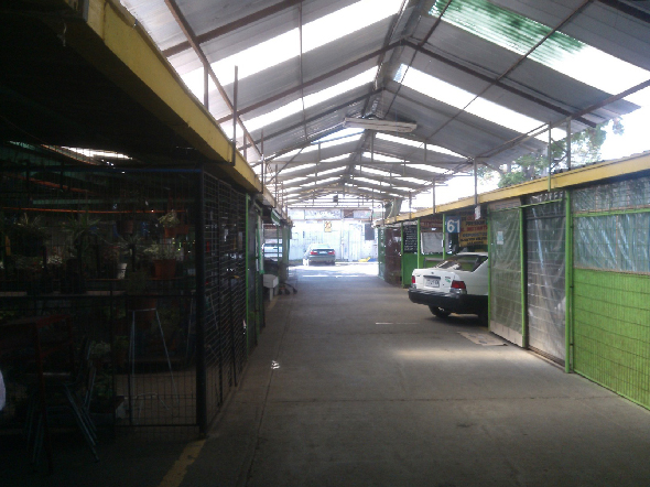 Mercado1