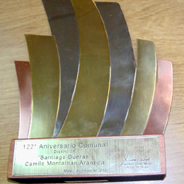 premiocamilo