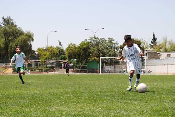 Foto: Gentileza https://www.facebook.com/copadel.abrazodemaipu