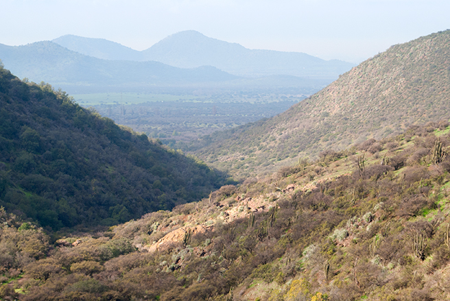Quebrada de La Plata, Maipú | (CC) www.labatalla.cl
