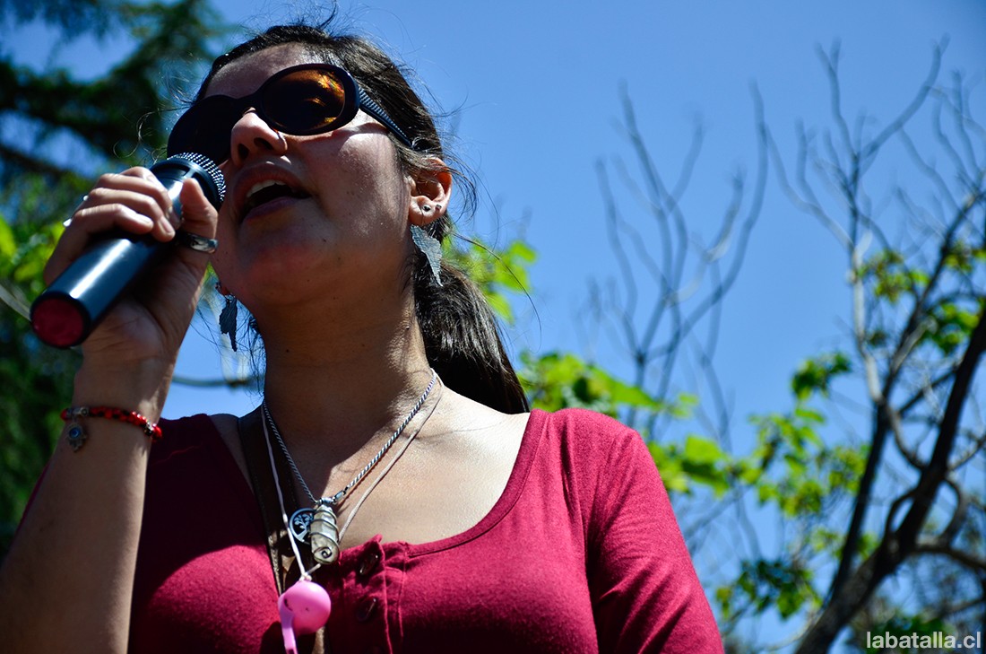 carolinallonamarcha11