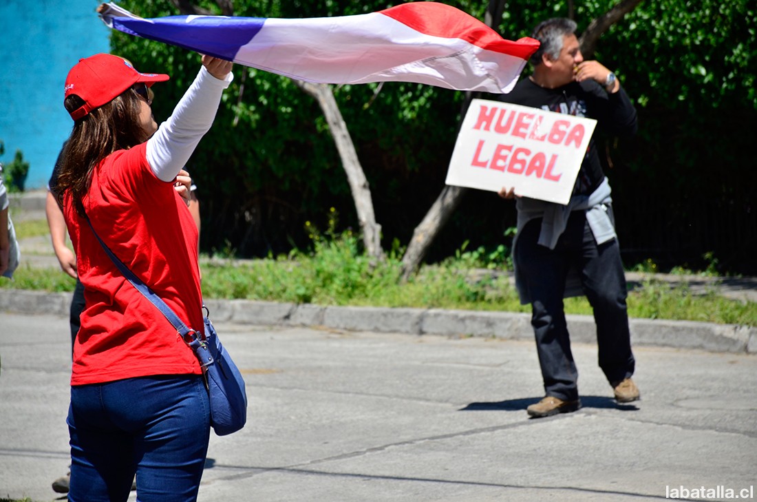 carolinallonamarcha12