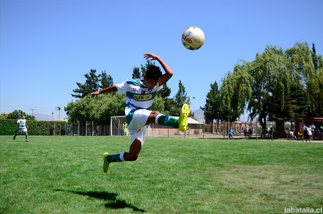 copadelabrazo14-17-01