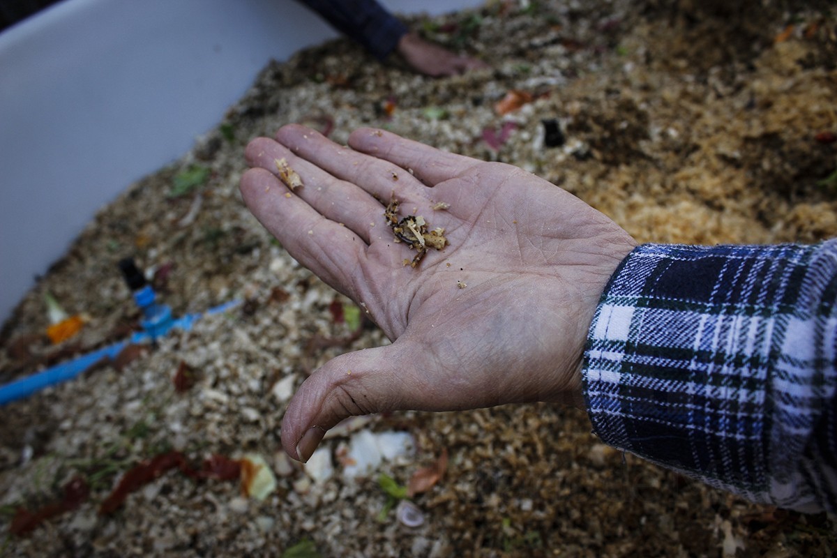 HuertasComunitarias11