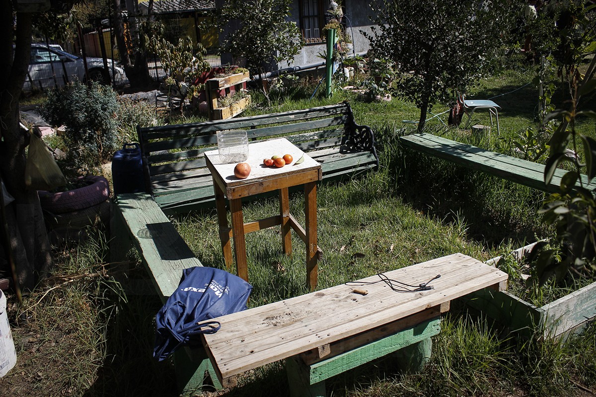 HuertasComunitarias15