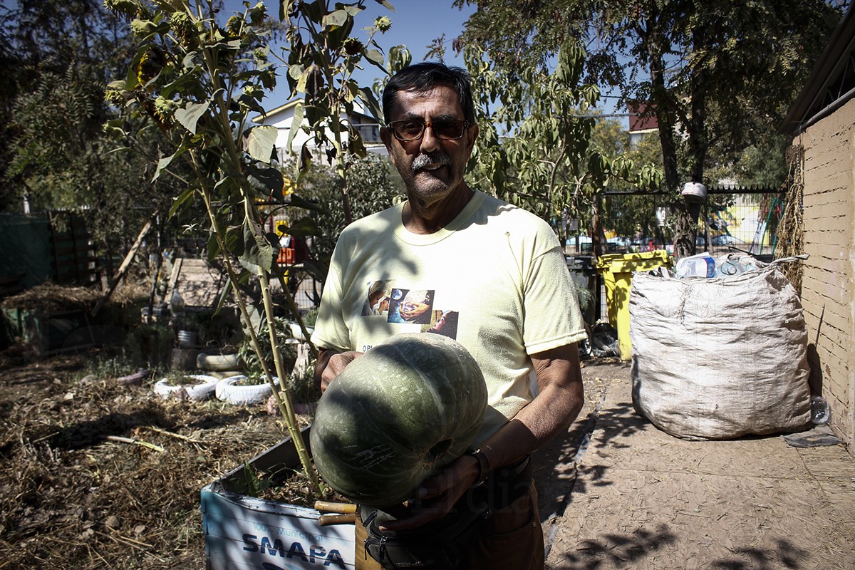 HuertasComunitarias16