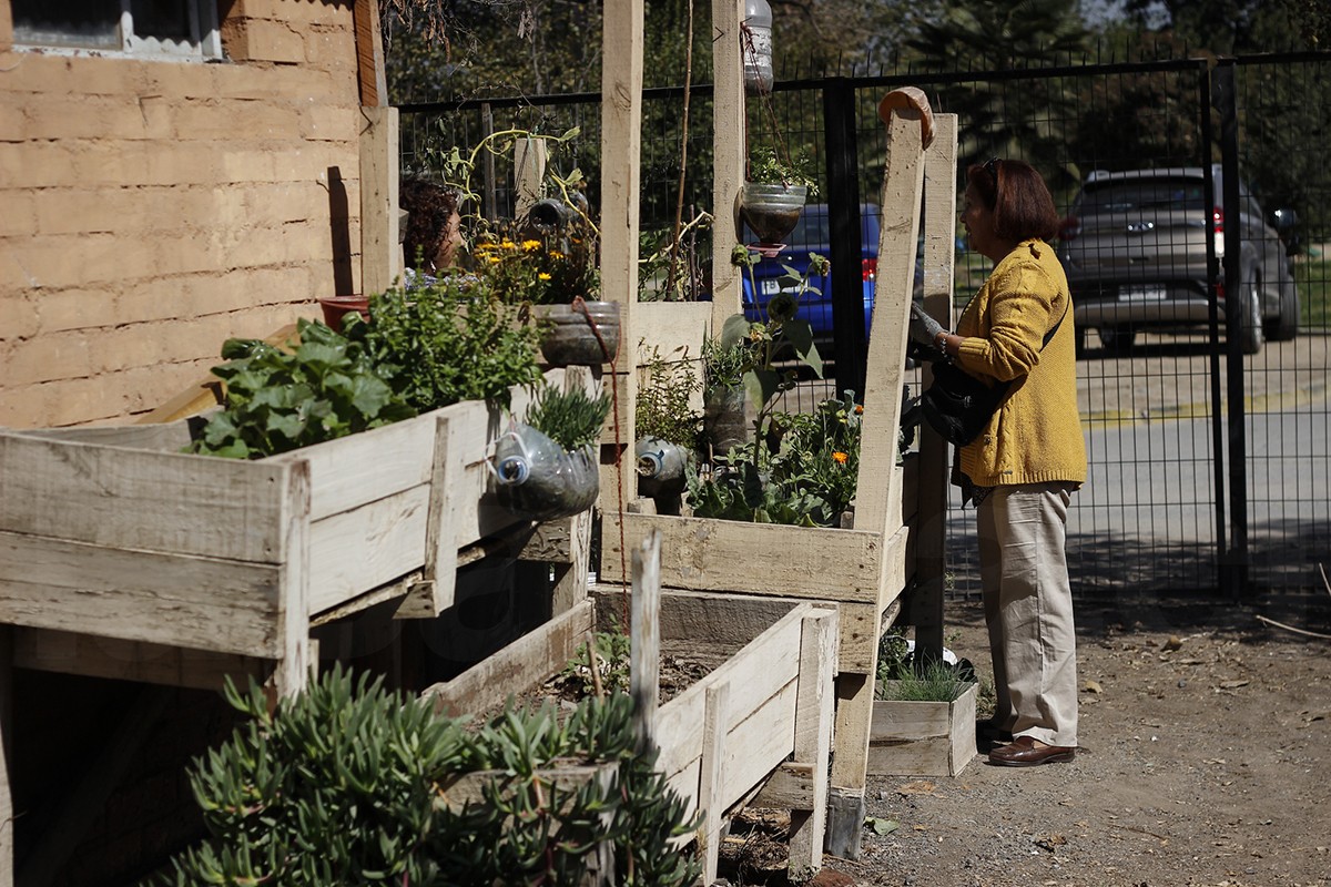 HuertasComunitarias18