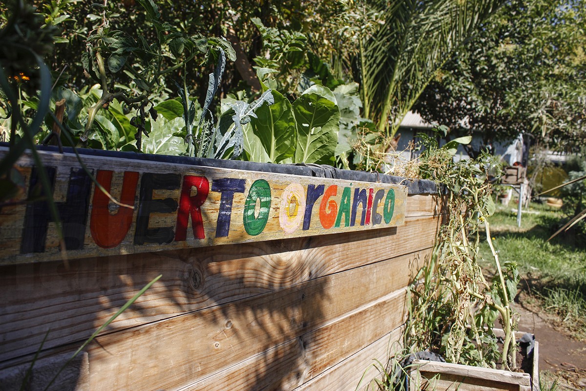 HuertasComunitarias9