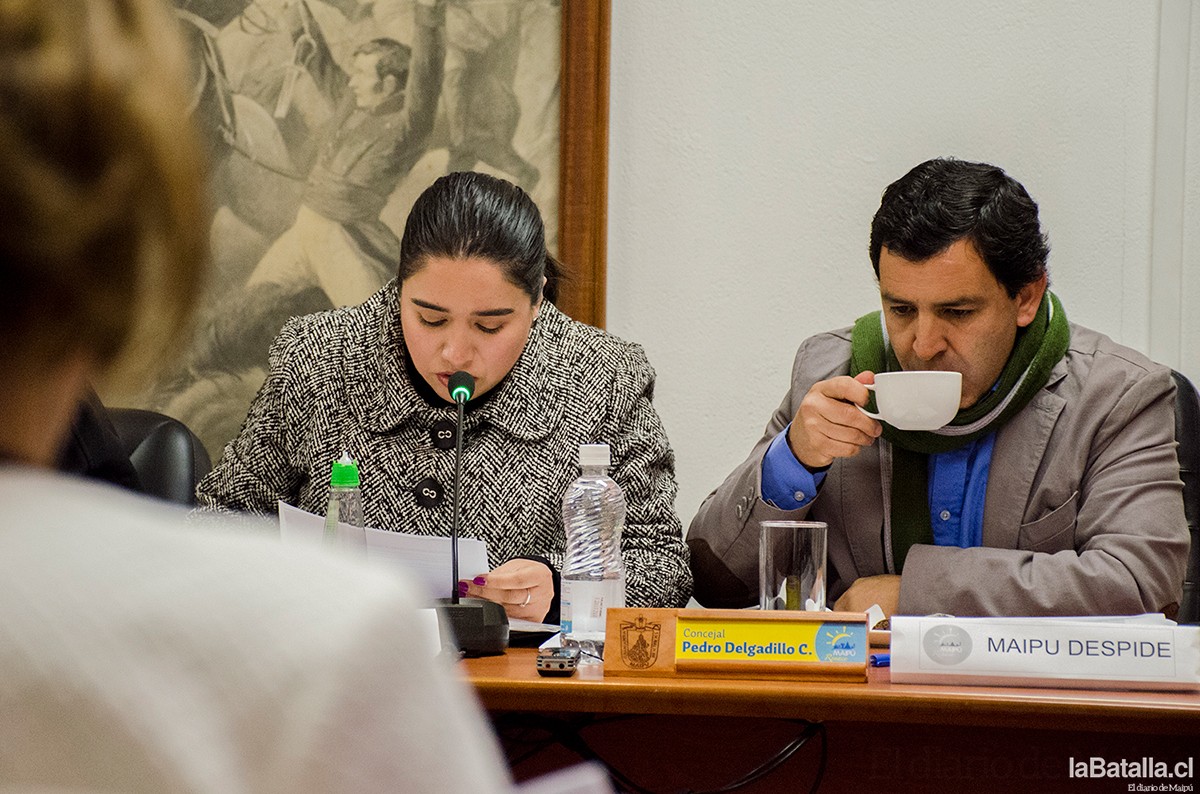 concejomunicipaldelgadillo