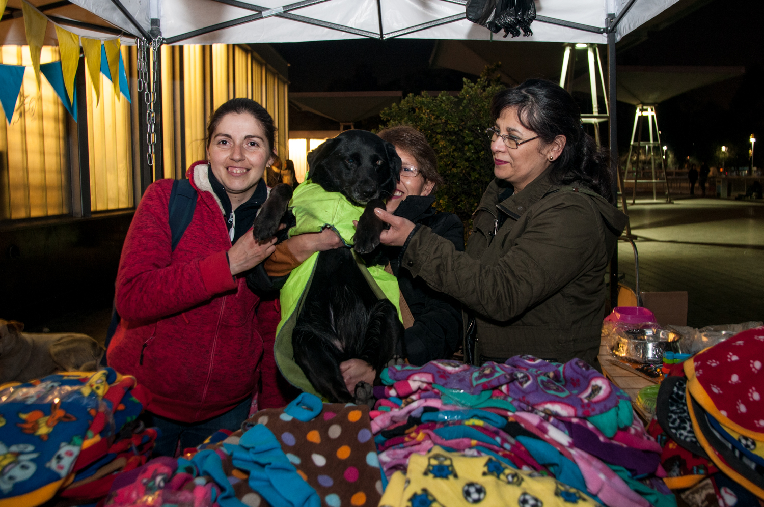 perritosplazademaipu (11)