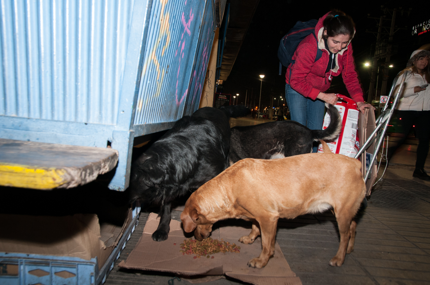 perritosplazademaipu (7)