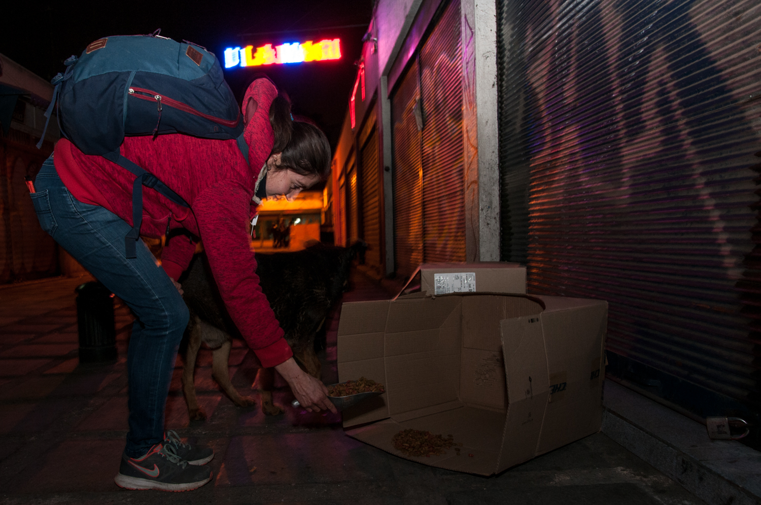 perritosplazademaipu (9)