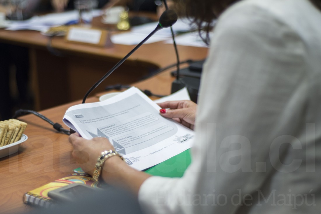 concejomunicipal (33)