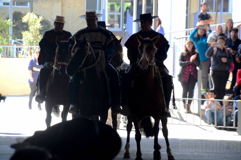RoyalAmericanSchoolCueca4